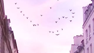 Islami video 30