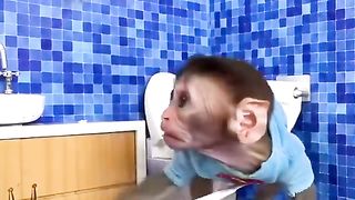 Cute little monkey????????❤