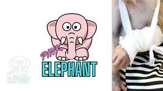 PINK ELEPHANT || CAT AND MONKEYS