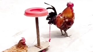 Funny ???????? video 2023 28