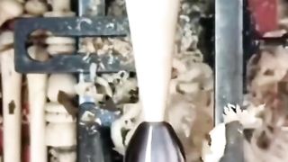 workers with extraordinary skills 2