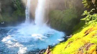 Natural video 41