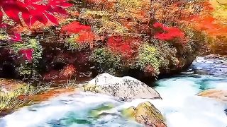 [Video]_Ghim_của_????????3????????????98_????????????????_trên_Air_Terjun_trong_2023_
