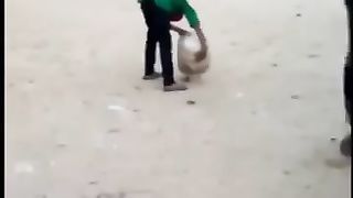 Funny videos 412