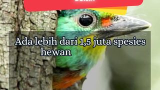 Fakta Menarik Tentang Dunia 6