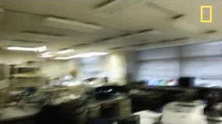 Tsunami Video