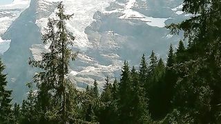 Флора Сахалина