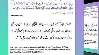 اسلامی معلومات 349