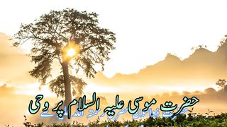 Hazrat Musa pr wahi  | حضرت موسیٰ علیہ السلام پروحی