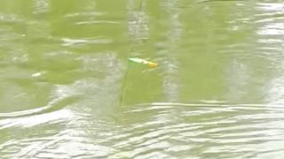 Fishing Video ???????? Best Catching Big Hunting Fish By Fish Hook Traditional Hook Fishing