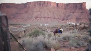 What was the world like in the Eocene