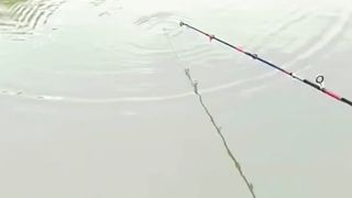 Best Amazing Fishing Video ???????? Catching Talapia Fish Hunting By Hook
