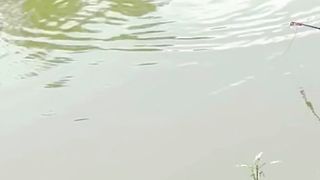 Fishing Video ???????? Catching Big Koi Fish Hunting By fish hook????Amazing fishing video