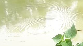 Catching Big Fish Boy Fish Hook ~ Amazing Fishing Video
