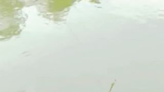 Catching Fish Hunting By Fish Hook ~ Amazing Fishing Video 2023