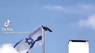 مازال الغراب يعلمنا بامر ربه