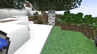 Minecraft rare moments