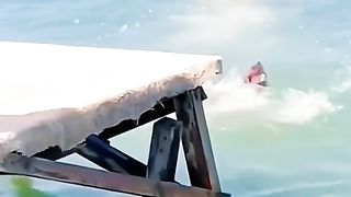 Cute funny animals pet