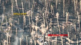 Ukraine Russia War | Drone View of Ukrainian Soldiers of the "Azov" Brigade Storming a Russ | RCF