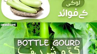 BOTTLE GOURD