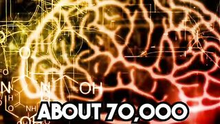 The Mysteries of the Human Brain.