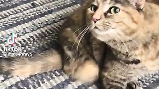 Funny | "Yeah, That's the Spot" Chronicles | FunFM
