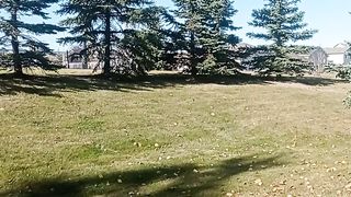 Amazing weather 4