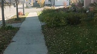 A beautiful sunny day