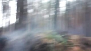 Ukraine Russia War | Ukrainian Defense in Kremin Forest, Luhansk Region | Suppressing the | RCF