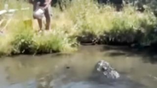 Un alligator-attaque-un-homme-_25.