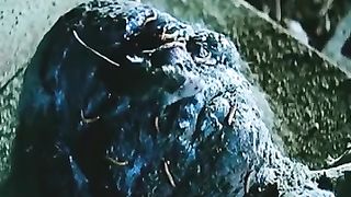 A 1000-year-old vampire