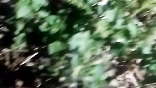 Animal's lover 78