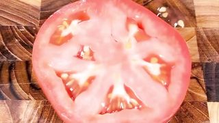 Best recipe tomato food