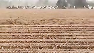 Israel War | Hamas Massacres Civilians Fleeing Rave | RCF