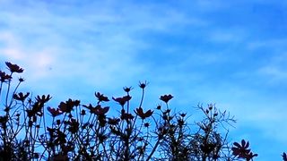 Meditation for Brain | Deep Relaxation | Meditation Video | Peaceful Environment |febspot