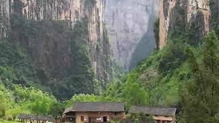 Natural video 46