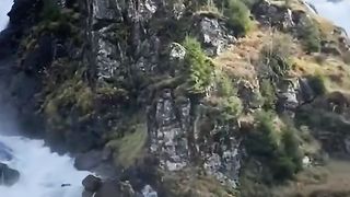 Natural video 43