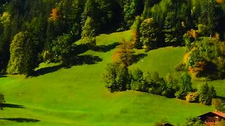 Natural video 44