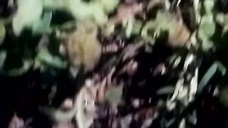 Animal's lover 86