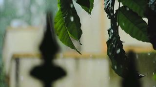 Meditation Relaxation Video | Paradise | Meditation Video Short | Nature Scenery | febspot