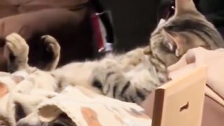 That face, that look...