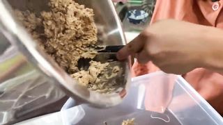 60K_Mo Cookies Business_ From Pharmacist to Businesswoman (W_ RECIPE, COSTING, TIPS