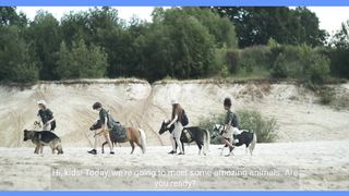 Lions???? video kids shorts video