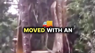 Crazy discovery