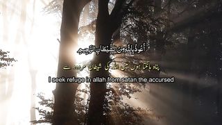 Beautiful Relaxing recitation_ Surah Ar Rahman with Urdu English translation by Abdul Rehman Mossadi