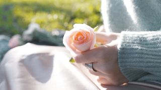 "Rose Garden Serenity: A Visual Journey"