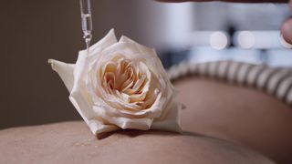 "Roses Around the World: A Botanical Adventure"