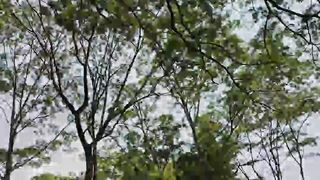 Natural beauty of Nature