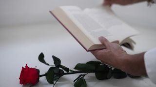 "Secrets of Rose Cultivation: Growing the Perfect Blooms"