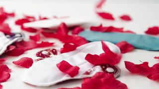 "Artistry in Bloom: The Elegance of Rose Photography"